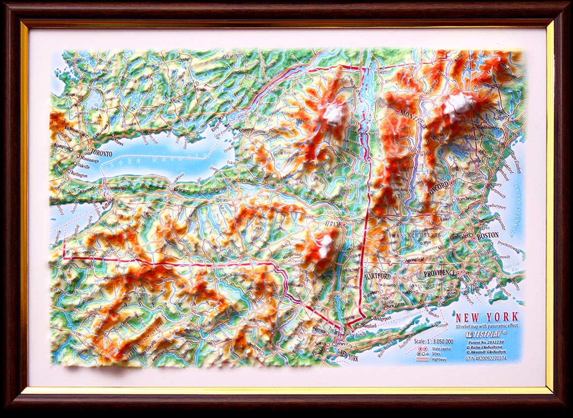 3d relief new york map decor testplay version gift